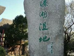 android_upload_pic-溱湖国家湿地公园