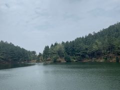 -四明山国家森林公园