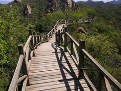 -大岭沟猕猴桃谷风景区