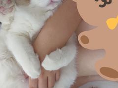 -联合动物医院(光谷诊疗中心)