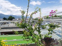 -唐咖精品咖啡(大理古城手冲店)