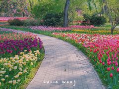 -国家植物园