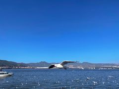 -滇池海埂公园