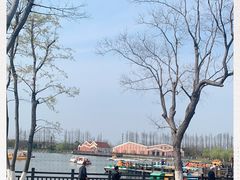 -上海长兴岛郊野公园