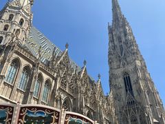 -斯蒂芬主教座堂(Stephansdom)