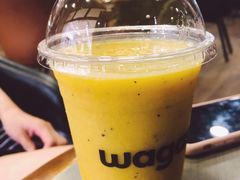 热带雨林-Wagas沃歌斯(富力广场店)