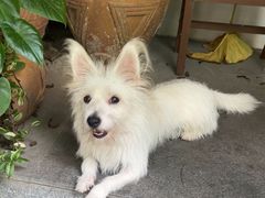 -绿房子方寸咖啡(星海名城店)