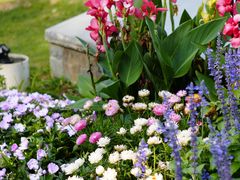 -武汉园博园(武汉自然博物馆)