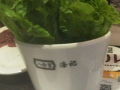 生菜-八合里潮汕鲜牛肉火锅(深圳海岸城店)