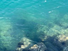 -麦哲伦丝绸度假村