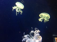 -台州海洋世界