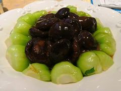 -茂港柏香(侨港路店)