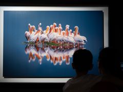 -罗红摄影艺术馆