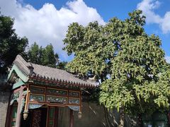 -张学良旧居陈列馆