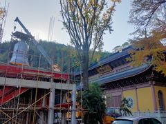 -东明山森林公园