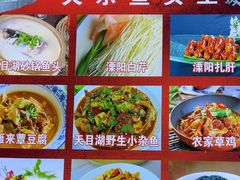 -天乐农家鱼头王(天目湖店)