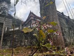 -岣嵝峰国家森林公园