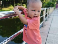 -东莞植物园