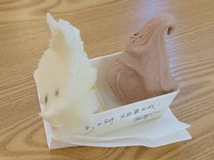 -野人先生Gelato(上海长宁龙之梦店)