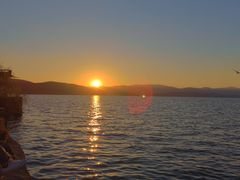 -璞真扎染博物馆