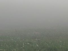 -空中草原