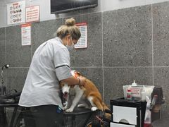 -宠物家(大兴旧宫店)