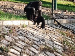 -哈尔滨北方森林动物园