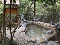 -深业半汤御泉庄温泉