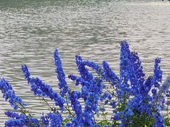 -荔湾湖公园
