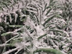 -长沙湘江冰雪世界