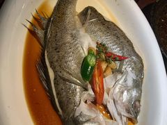 -绿茶餐厅(华联万柳店)