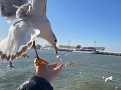 -呈贡滇池生态湿地公园