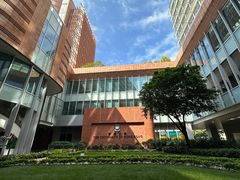 -香港大学
