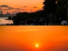 -深圳人才公园