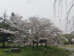 -堤角公园