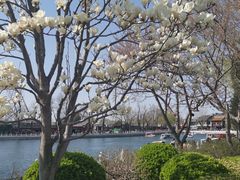 -摆渡酒吧(后海店)