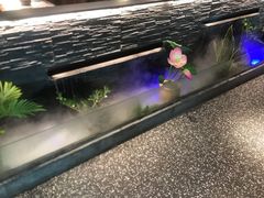 -大榕树下顺德菜(融创茂店)