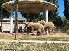 -石家庄市动物园