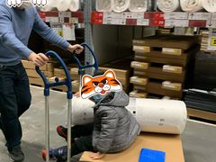 -宜家家居(哈尔滨商场店)