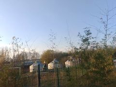 -西部长青自然儿童乐园