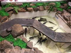 -春盛渔府(牛首山店)