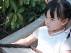 -大象粑粑造纸公园