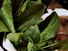 菠菜-渝利重庆火锅