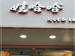 门面-娃哈哈·奶茶(武林店)