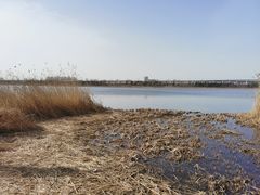 -绿堤公园