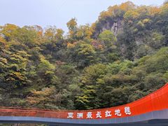 -黎老幺光雾山黄羊汤锅