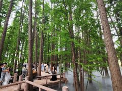 -东湖落雁景区