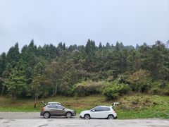 -武陵山森林公园
