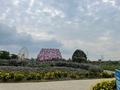 -紫颐香薰山谷景区