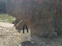 -洛阳市隋唐城遗址植物园